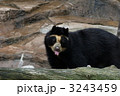 3243459