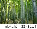 竹の寺