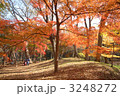 井の頭公園　紅葉