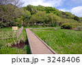 三鷹　大沢の里