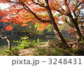 井の頭公園の紅葉