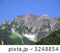奥又白