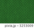 3253009