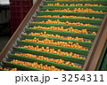 3254311