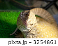 3254861