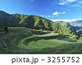 兵庫　西ヶ丘の棚田