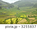 岡山　美咲町　大垪和西の棚田