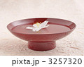 花見酒