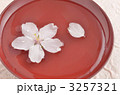 花見酒