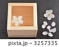 花見酒