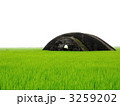 3259202