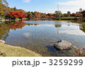 日本庭園の水辺の紅葉と池に映える景観