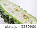 アバシゴーヤー