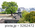 熊本城・飯田丸五階櫓