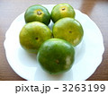 秋の味覚　早生みかん