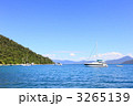 フィッツロイ島