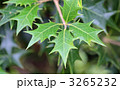 3265232