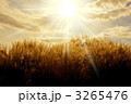 3265476