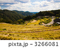 大垪和西棚田
