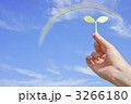 紙で作った芽を持つ手と虹空