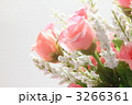 ピンクの薔薇