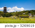 稲穂　国分寺