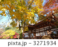 深大寺の紅葉