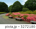 神代植物公園のツツジ