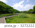 神代植物公園　水生植物園