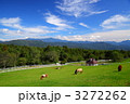 高原の馬