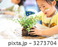苔玉作り
