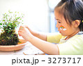 苔玉作り
