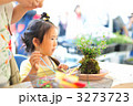 苔玉作り