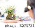 苔玉作り