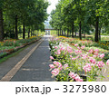 とっとり花回廊・道と花