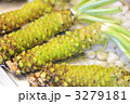 わさび