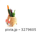 野菜の収穫