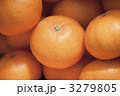 3279805