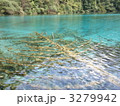 九賽溝の水に沈んだ木
