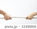 3288866
