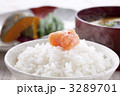 ごはん