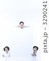 3290241