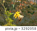 3292058