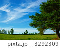 北海道の青空