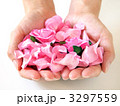 花びらを持つ手