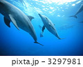 3297981
