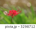 3298712
