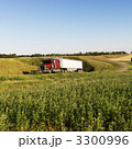 3300996