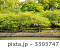 新緑の河川公園