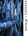 Tattooed woman's arm.